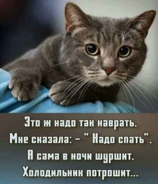   - 20  2025  15:16