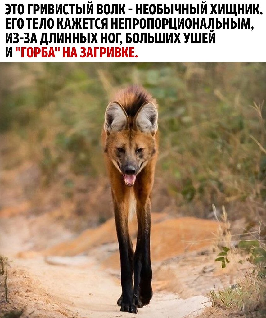     - 2