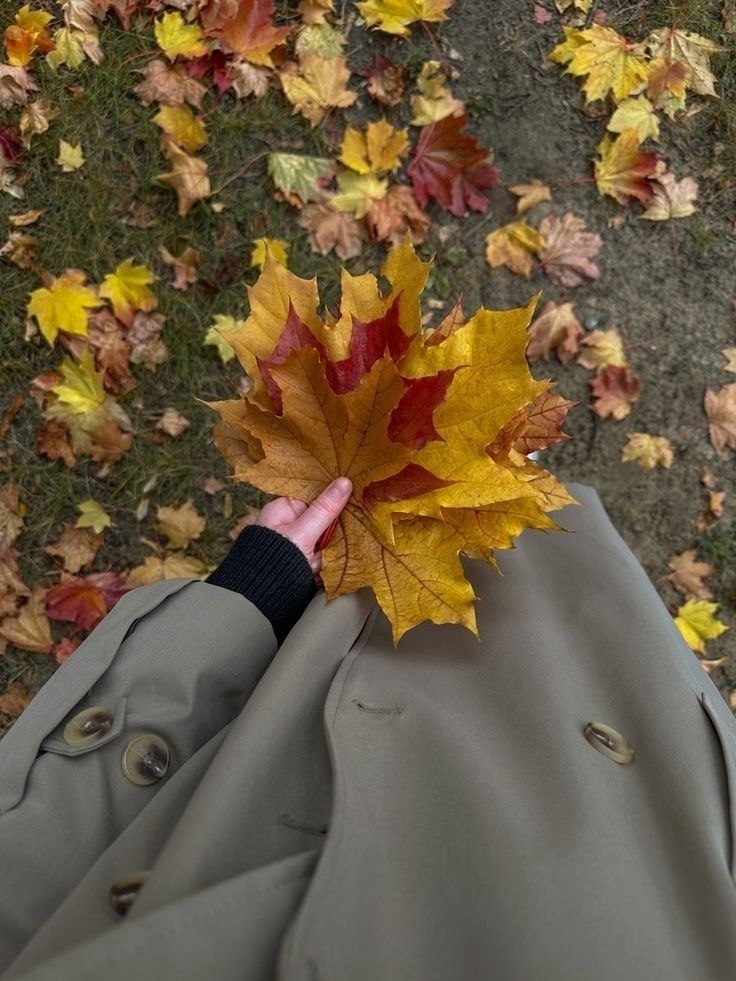 ��y��� ��� ����� ����� �a����� �������� - 2