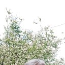 ���� ���������, �����������, 68 ��� - ��������� 4 ���� 2025 � ������ ���� ����������