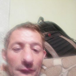 , 41, 