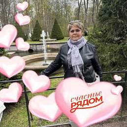 ���� ����, ������, 49 ��� - ��������� 25 ������� 2026