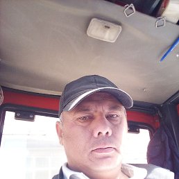 , 41, 