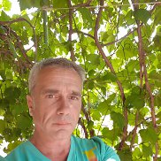 �������, 53 ����, ����