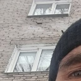 ���������, ��������, 50 ���