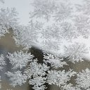 ���� ������, ������, 51 ��� - ��������� 14 ��� 2026