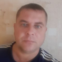 ��������, ������, 41 ���