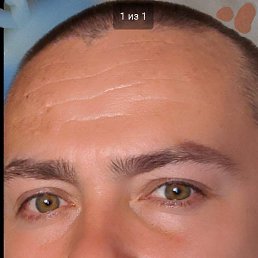 ����, ������� ��������, 42 ����