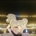 ���� ��������, ���������, 51 ��� - ��������� 30 ������ 2026 � ������ ���� ����������