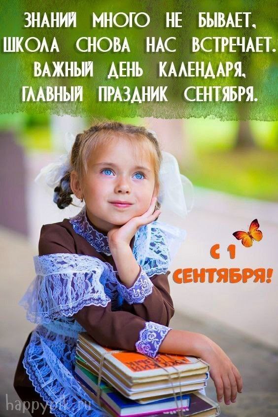   ,    . - 1  2025  08:16 - 3