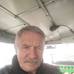 , 61, 