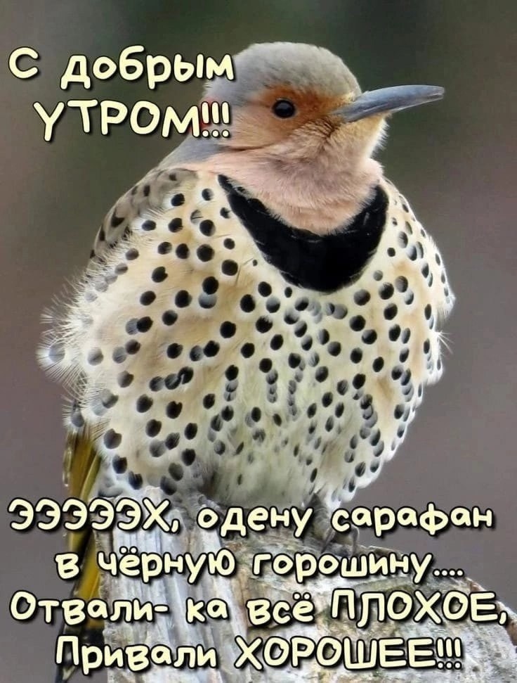    ...  - ,     ,  ,   ...
