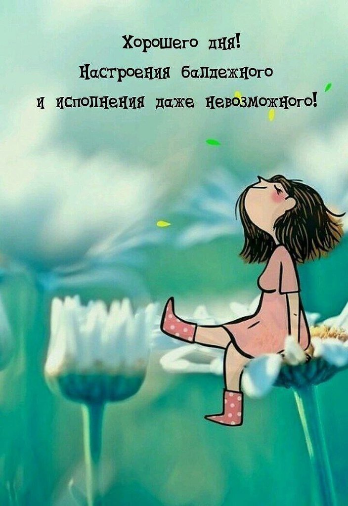   ,    . - 8  2025  13:23 - 2