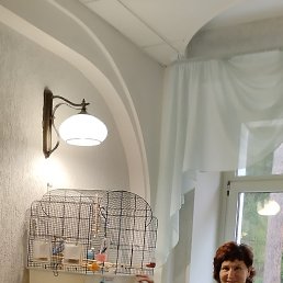 ���� ��������, ������, 53 ���� - ��������� 17 ������� 2023