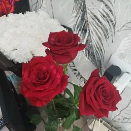 ���� ���������, �����, 43 ���� - ��������� 15 �������� 2026