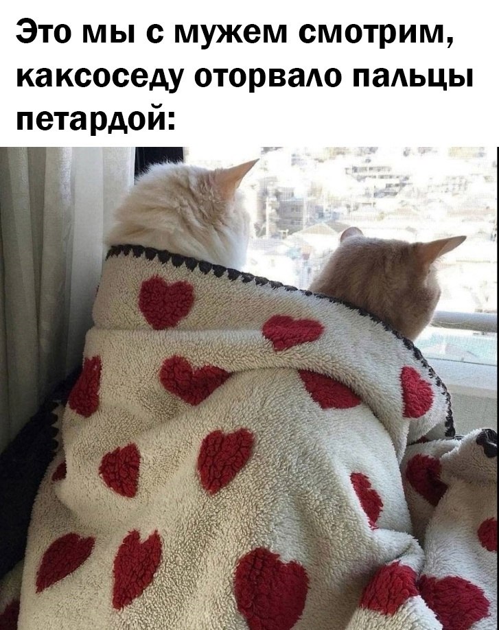 �������� ����������� ����� - 6 ������ 2025 � 07:32