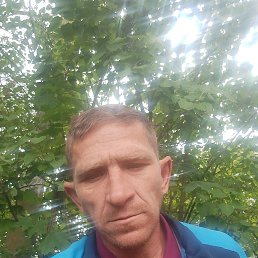 ���� ���������, ������, 46 ��� - ��������� 3 ������ 2025