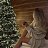 ���� Viktoriya, ���������, 34 ���� - ��������� 8 ������ 2025