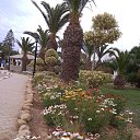 ���� �������, ����� - ��������� 29 ������� 2025