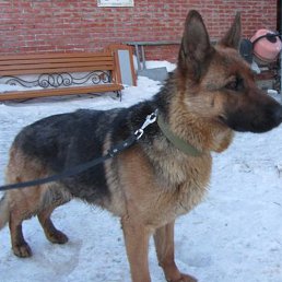 Tania, ���������, 54 ����