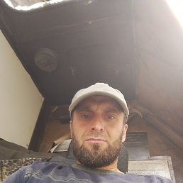 , 34,  