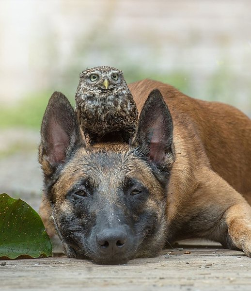 �������� �������� ���� ������ �������� �������� ����� ������ �������, ��� ����������� ������� ���� ... - 2