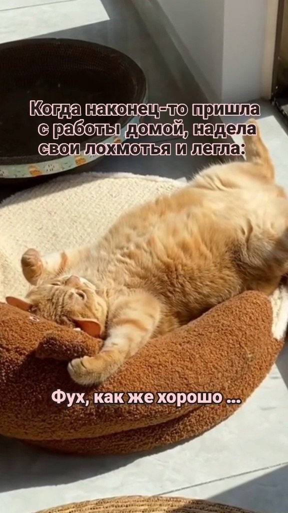  ...! - 2