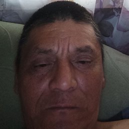 , , 51 