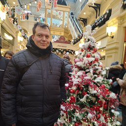 ������, 29 ���, ���������