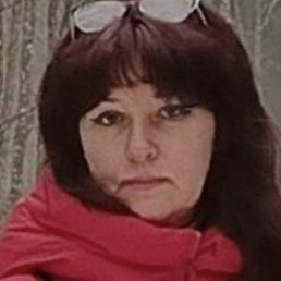 ����, �����-���������, 51 ���