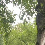 Костя, 32 года, Москва Костя, 32 года, Москва