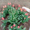 ���� ����, ���������, 38 ��� - ��������� 19 ������ 2024 � ������ ���� ����������