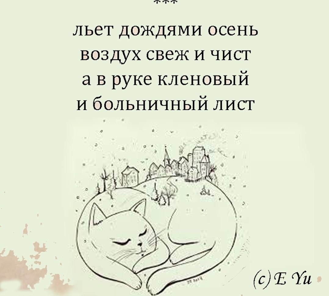 ������ - 2