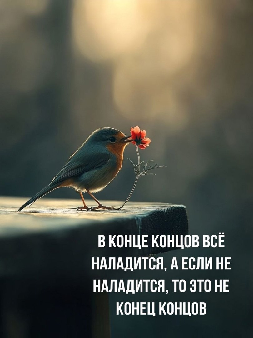  - 17  2025  05:52