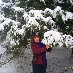 �������*, ���������