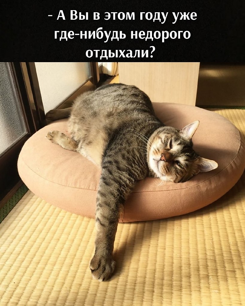       - 24  2025  11:36