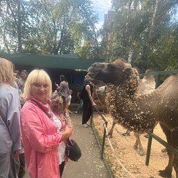 ���� ���������, ��������, 62 ���� - ��������� 2 ������� 2025