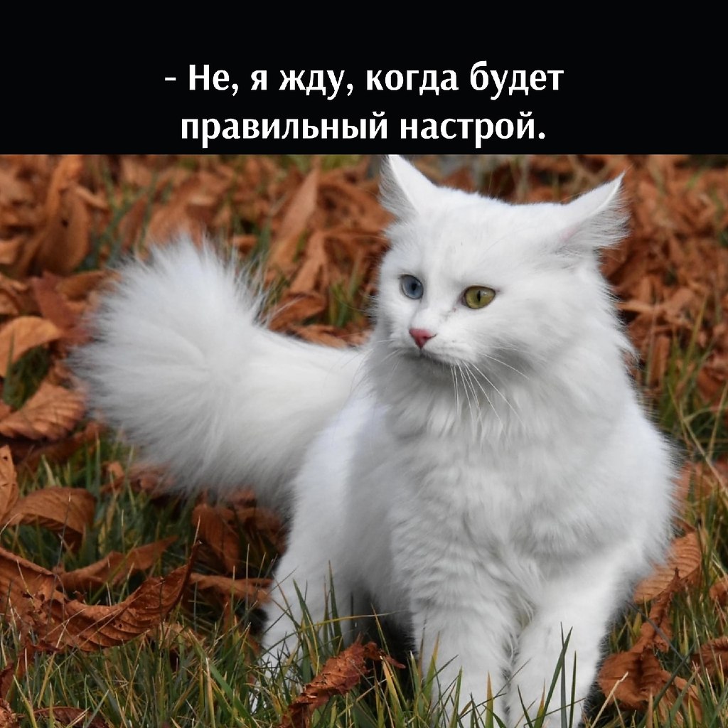 ��� ���� � ����� �� �� - 20 ��� 2026 � 13:25 - 2