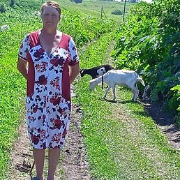 ������, ������, 40 ���