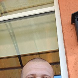 , 29, 