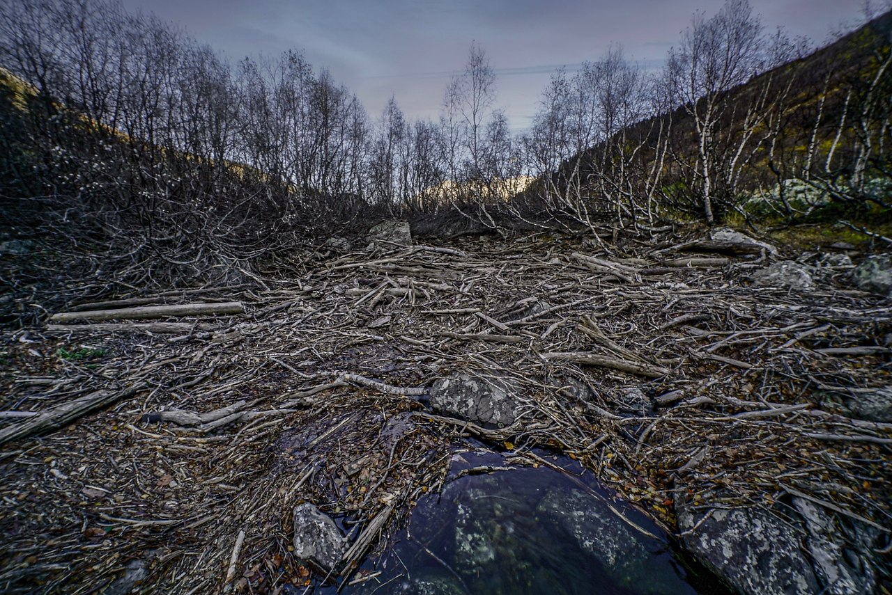 ace opa. occ, apaaeo-epecc, eepc aoe. - 4