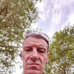 , 57, 