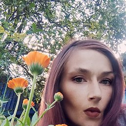 , 37 , 