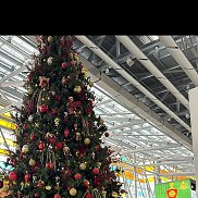 �����, 59 ���, ������