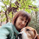 ���� �������, ������������, 55 ��� - ��������� 9 ��� 2024 � ������ ���� ����������