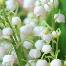 ���� ������, ������, 49 ��� - ��������� 20 ����� 2024