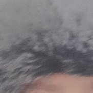 ������, 46 ���, ������