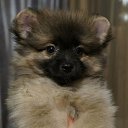 ���� Sergei, ������, 54 ���� - ��������� 29 ������� 2023 � ������ ���� ����������