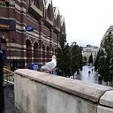 ���� ������, �������� - ��������� 14 ������� 2025 � ������ ���� ����������