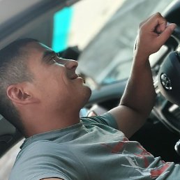 ��������, ������, 37 ���